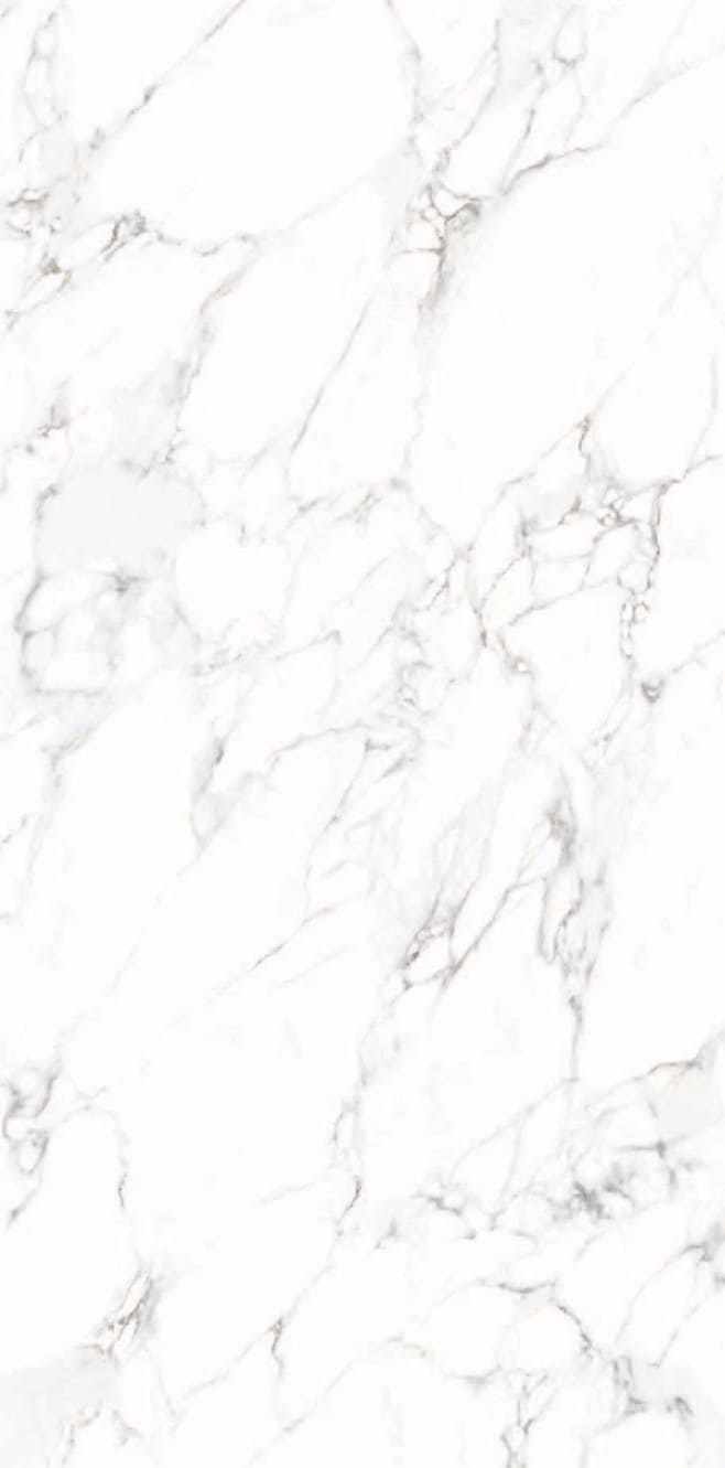 ARABESCATO_BIANCO_F04