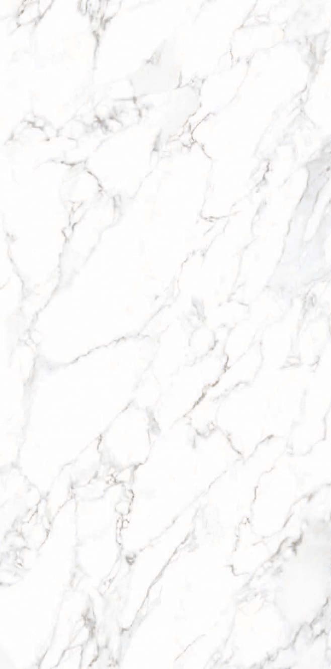 ARABESCATO_BIANCO_F05