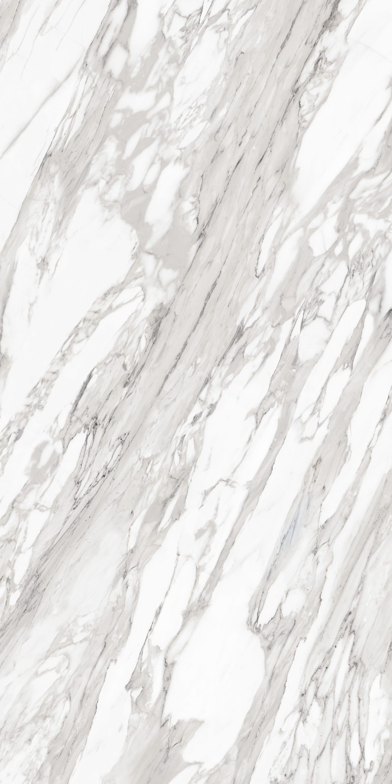 CALACATTA_VECCHIA_F01