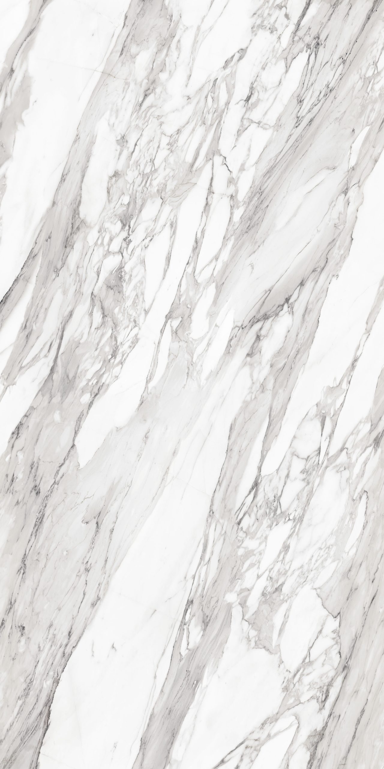 CALACATTA_VECCHIA_F02