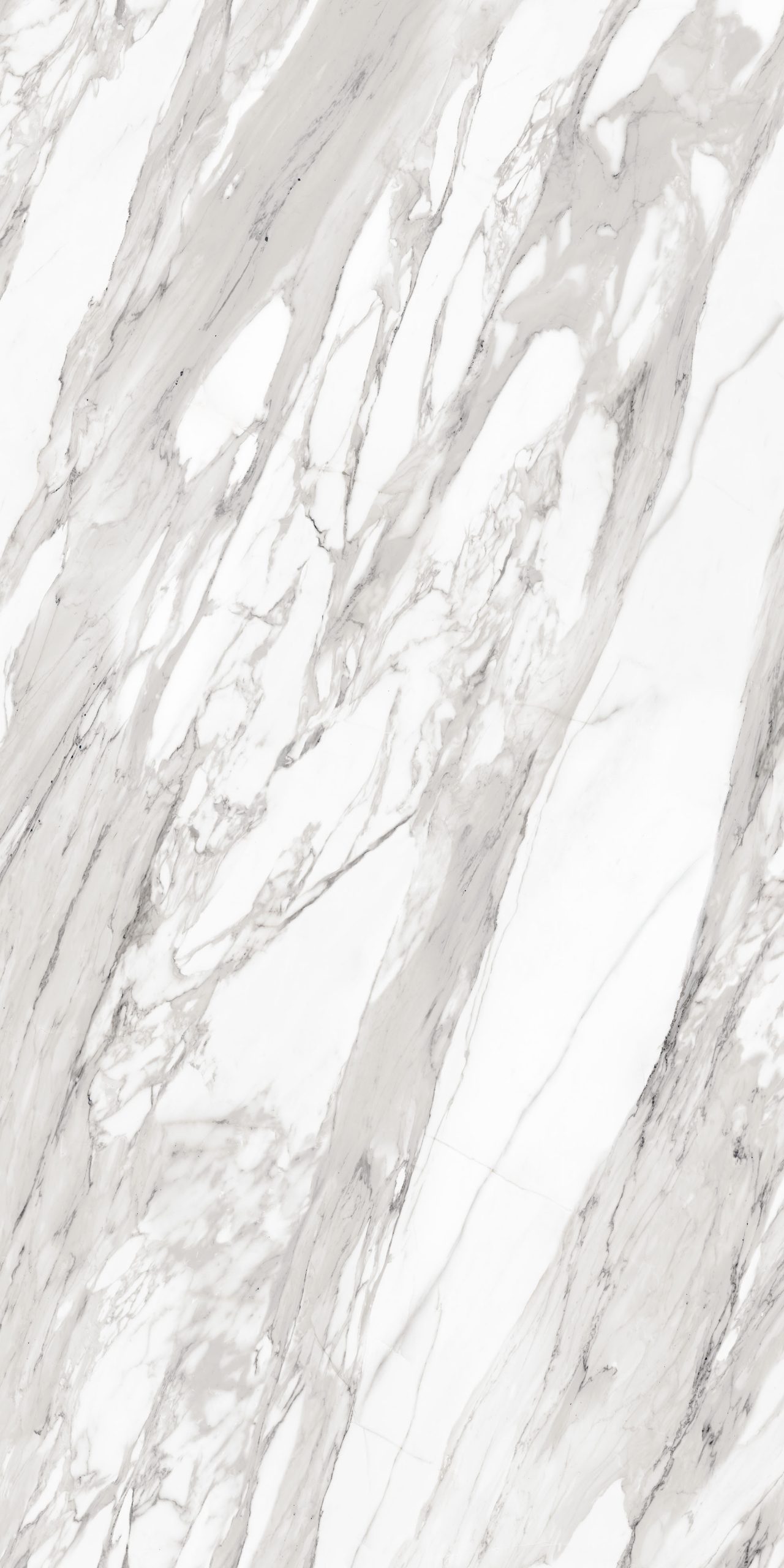 CALACATTA_VECCHIA_F03