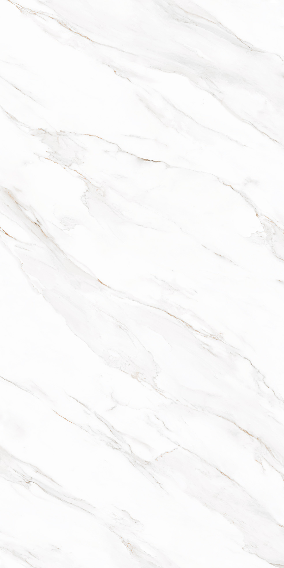 CORTINA_BIANCO_F0B_EM