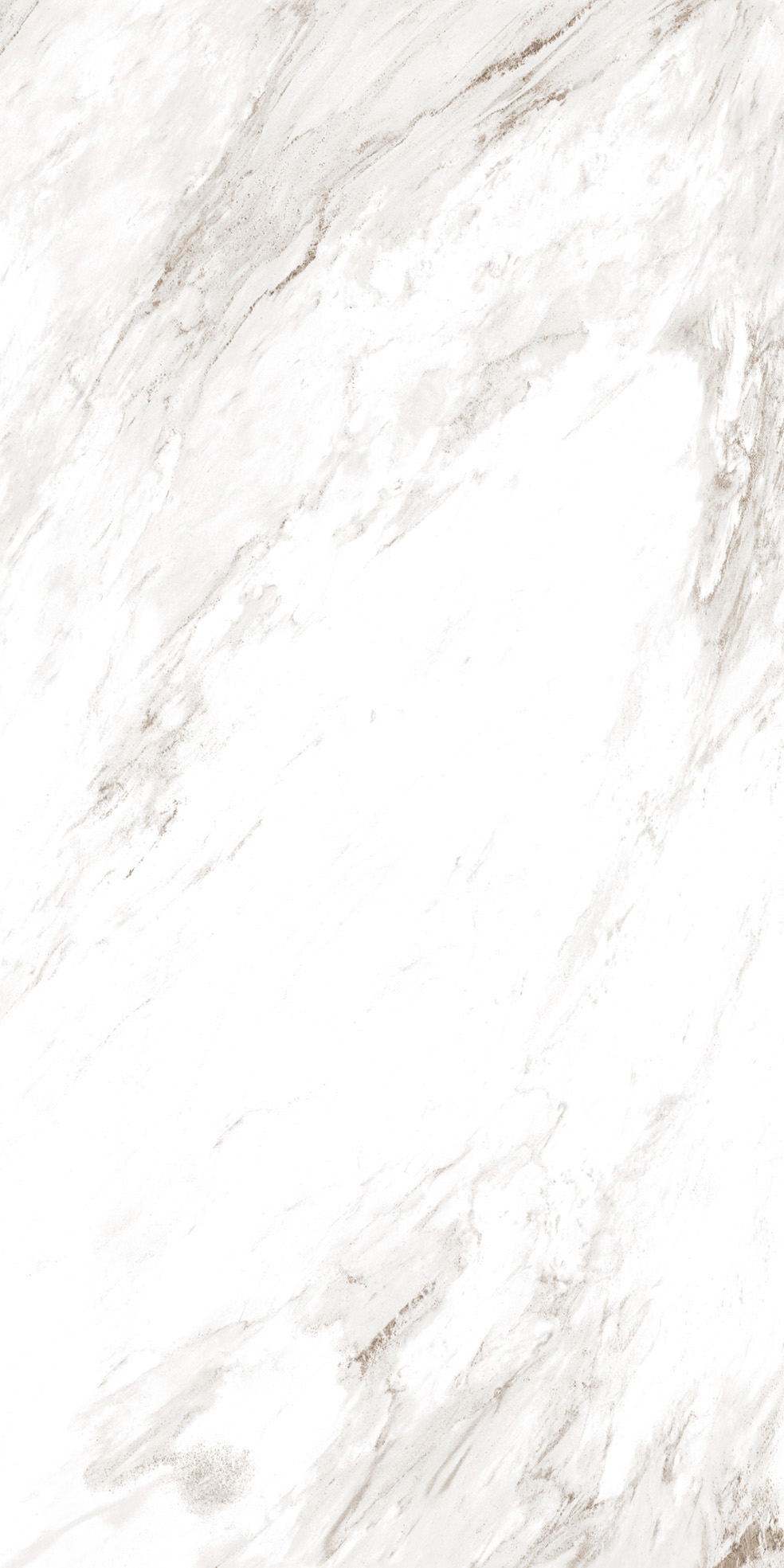 PALISANDRO_NOVULATO_F01 - Copy