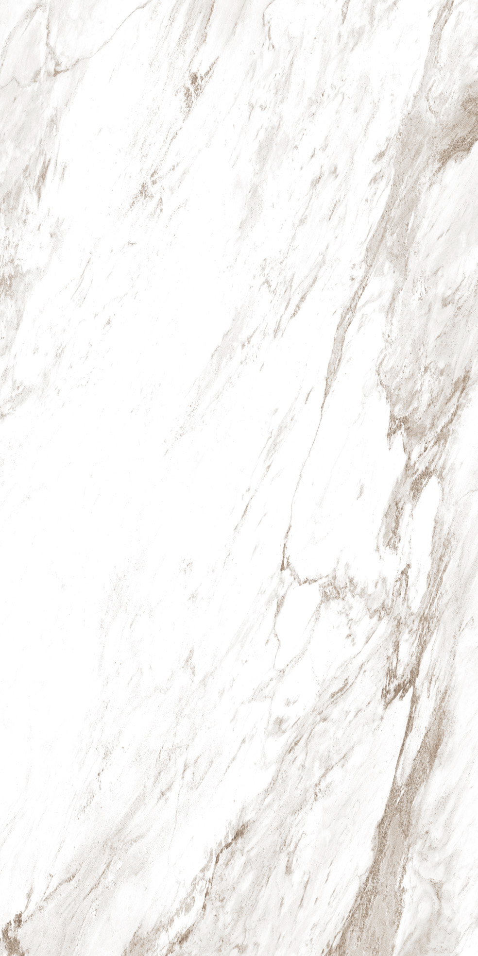 PALISANDRO_NOVULATO_F02