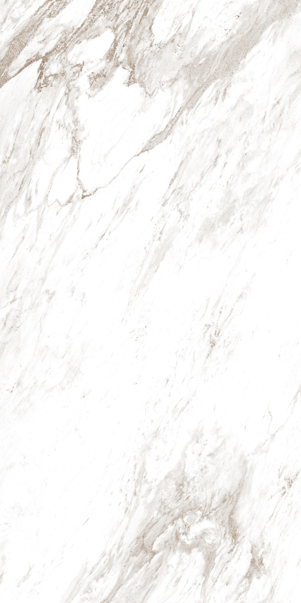 PALISANDRO_NOVULATO_F03