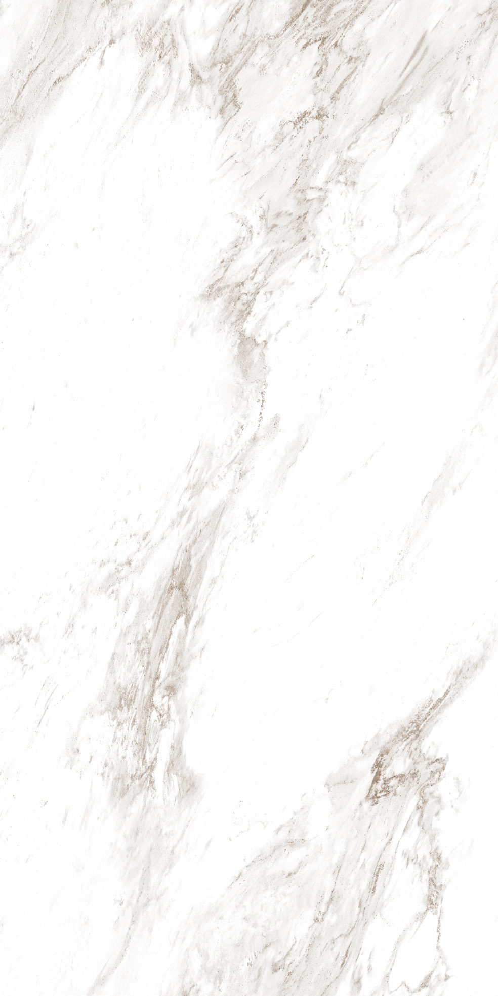 PALISANDRO_NOVULATO_F04