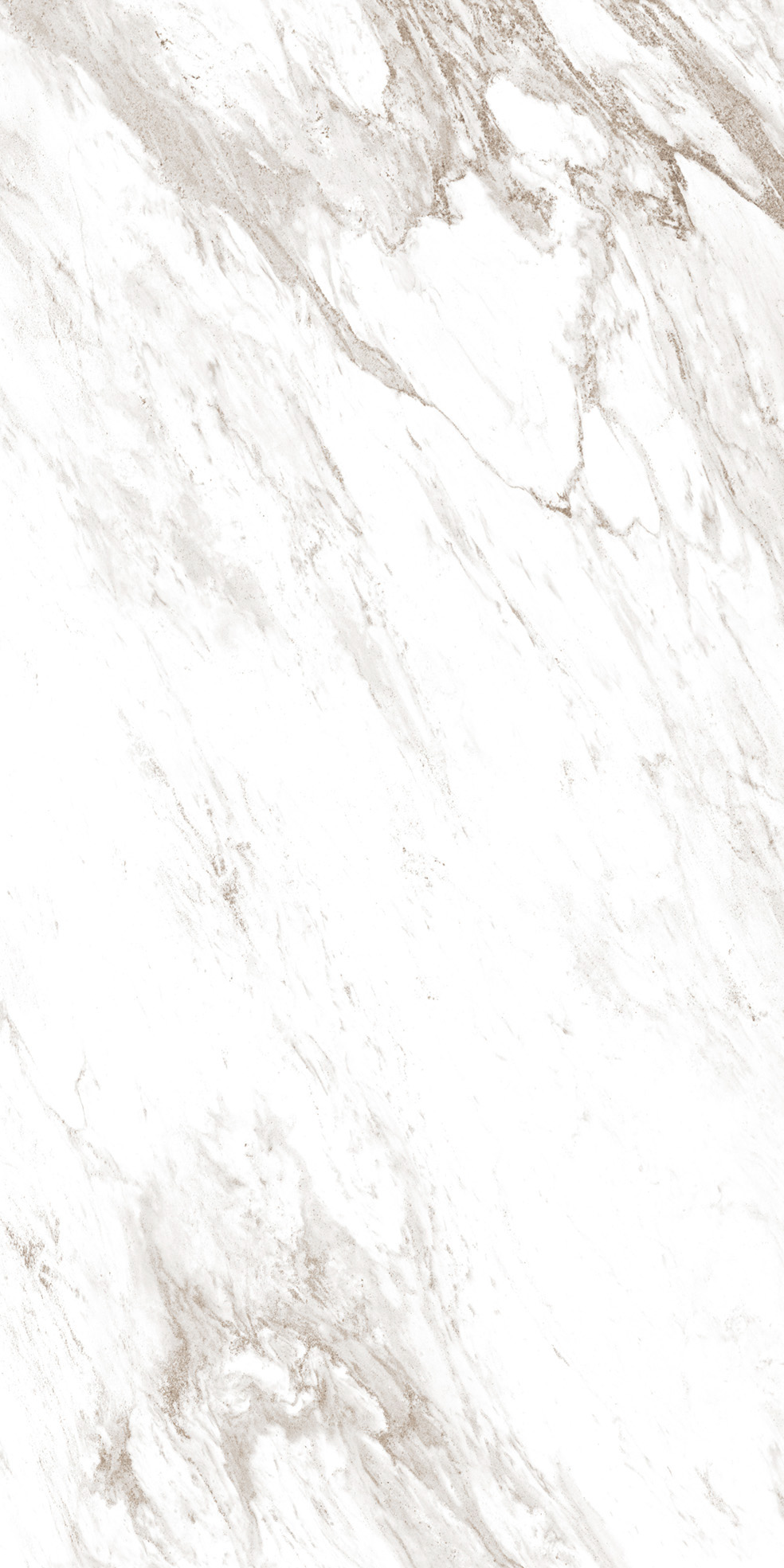 PALISANDRO_NOVULATO_F0B