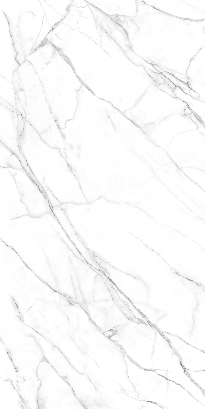 STATUARIO_ALTISSIMO_F01 (1)