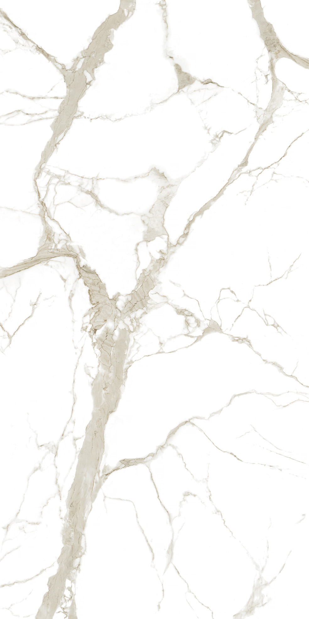 STATUARIO_GOLD_&_AUREO_F0B