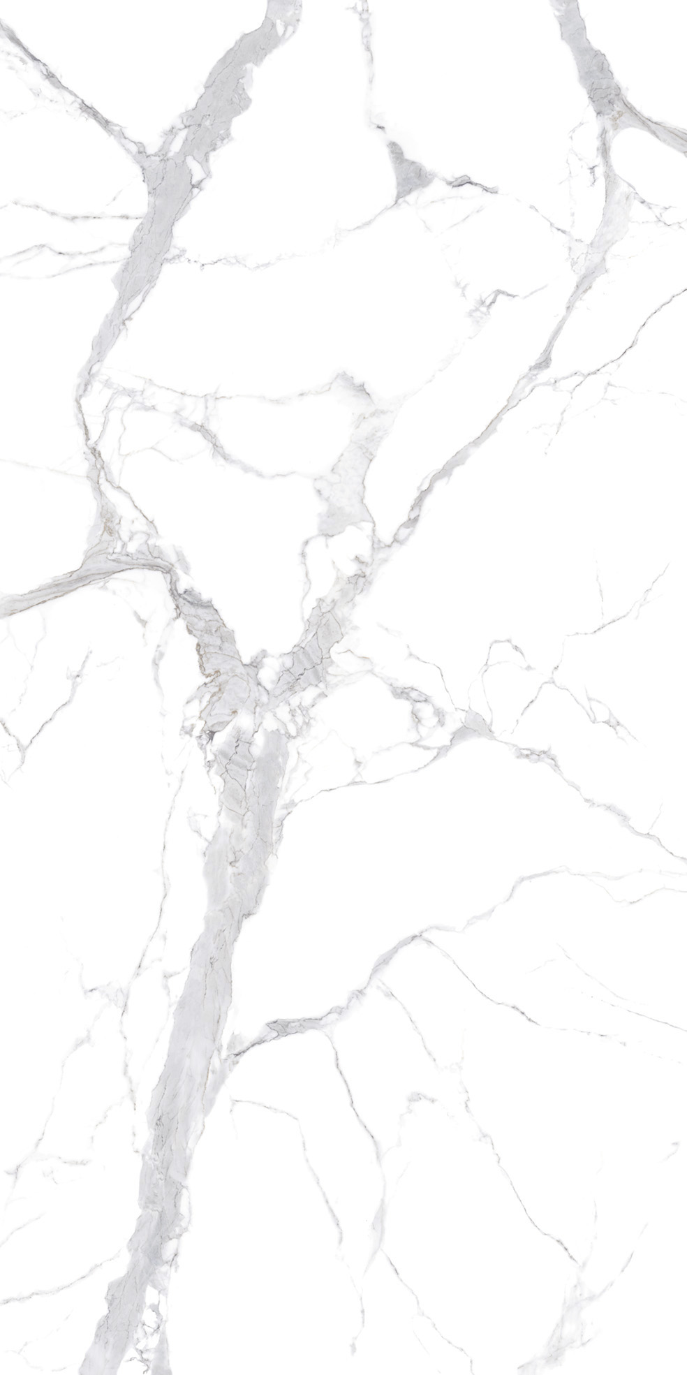 STATUARIO_SILVER__ARGENTO_F0A