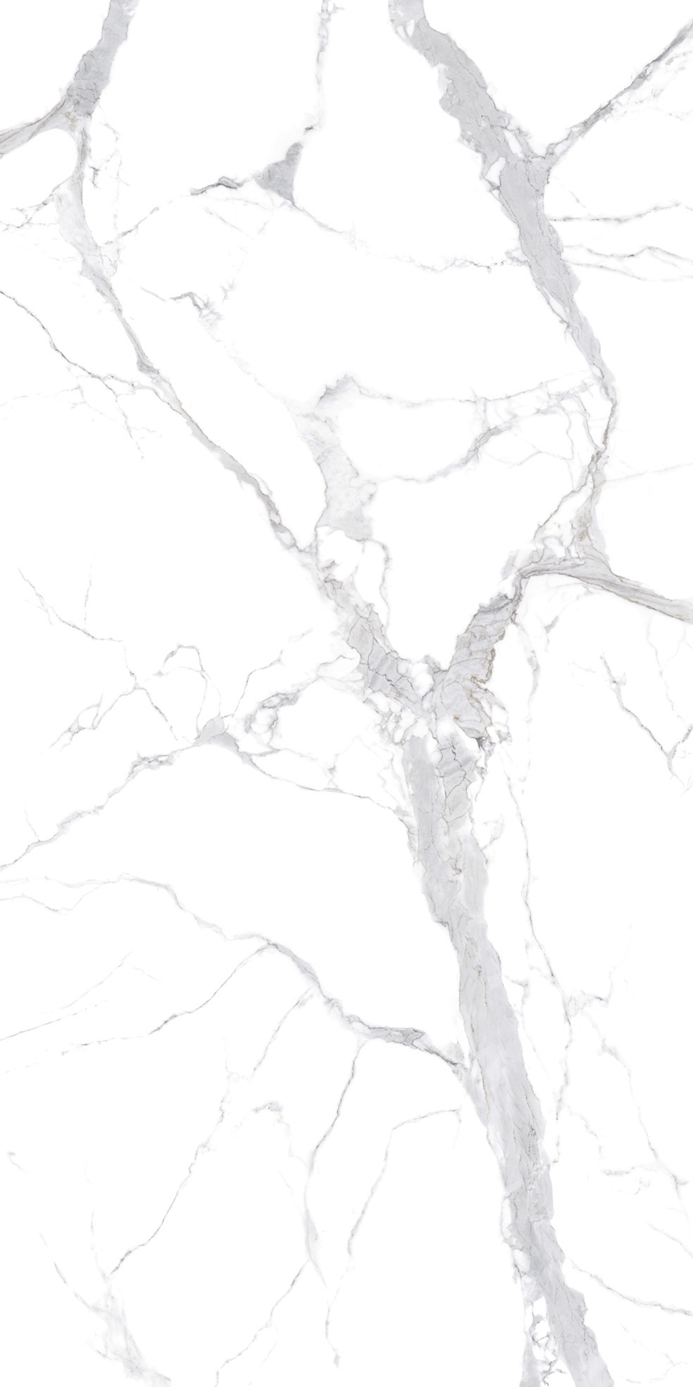 STATUARIO_SILVER__ARGENTO_F0B (1)