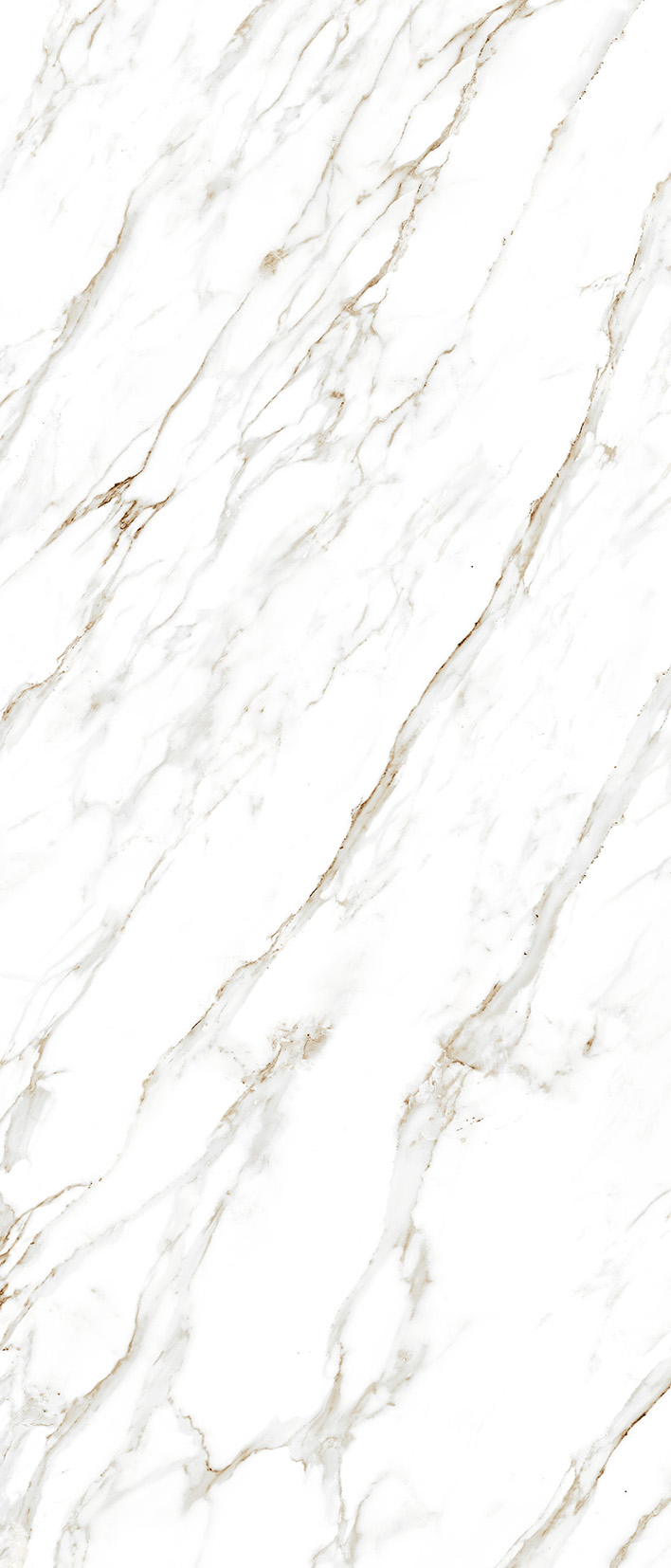 HIMALAYA_VENTO_F01 (1)