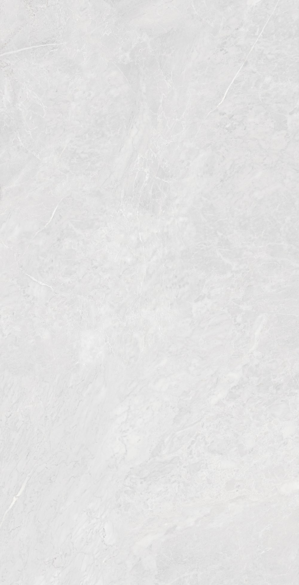 CAMINO_GRIGIO_240 F1