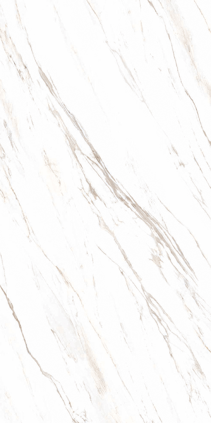 PALISANDRO_CLASSICO_MATTE_F B