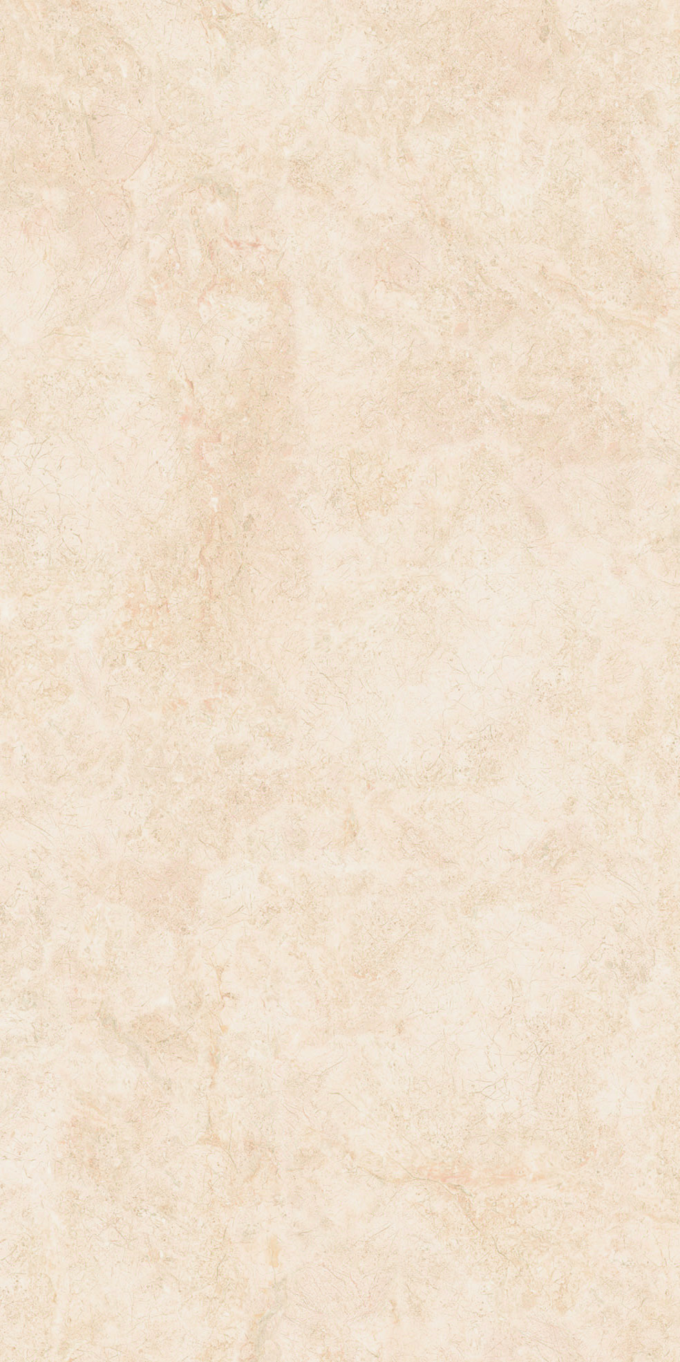 Face 6