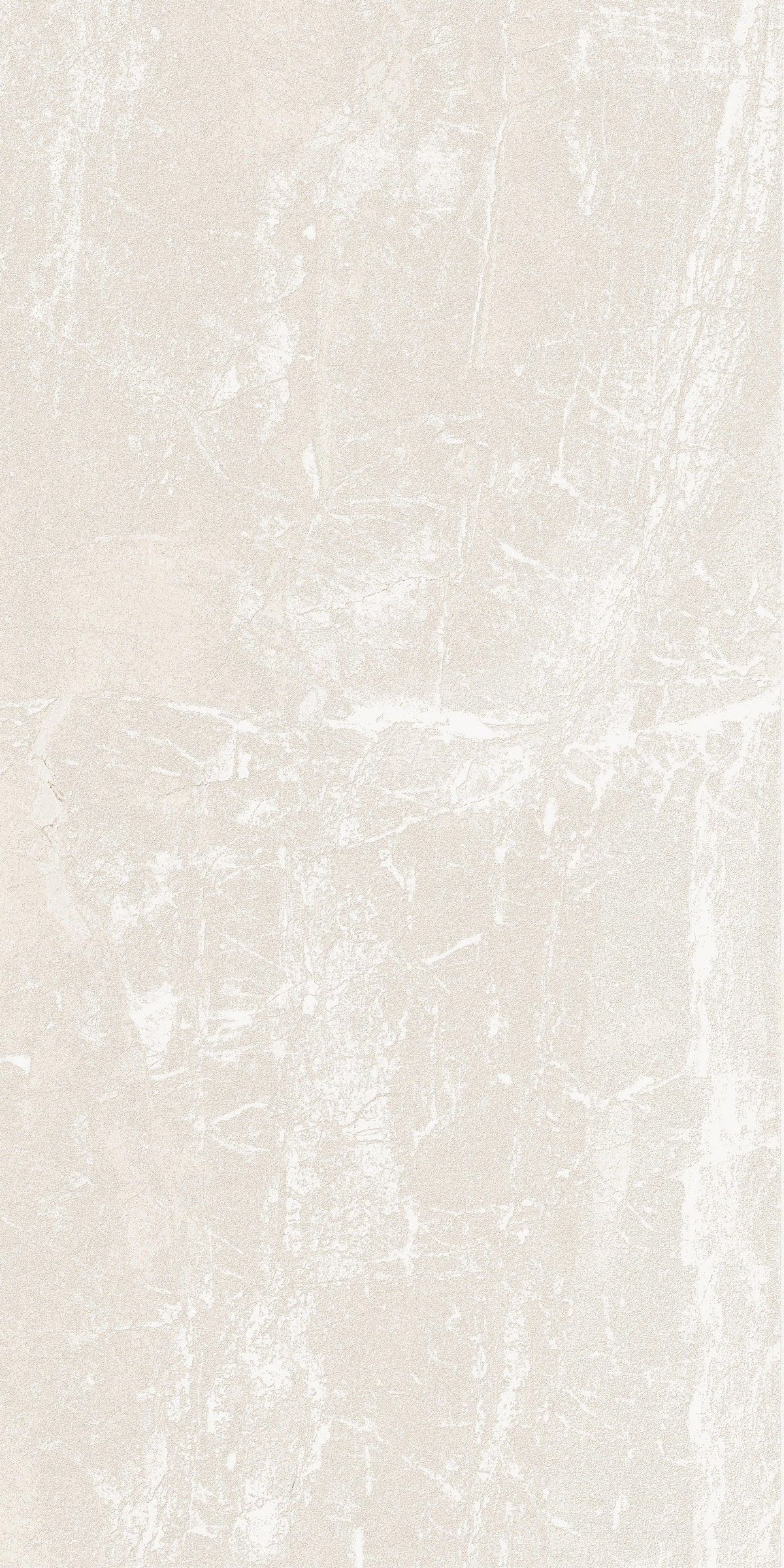 Face 6